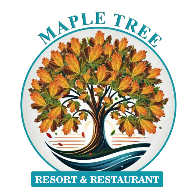 Maple Tree